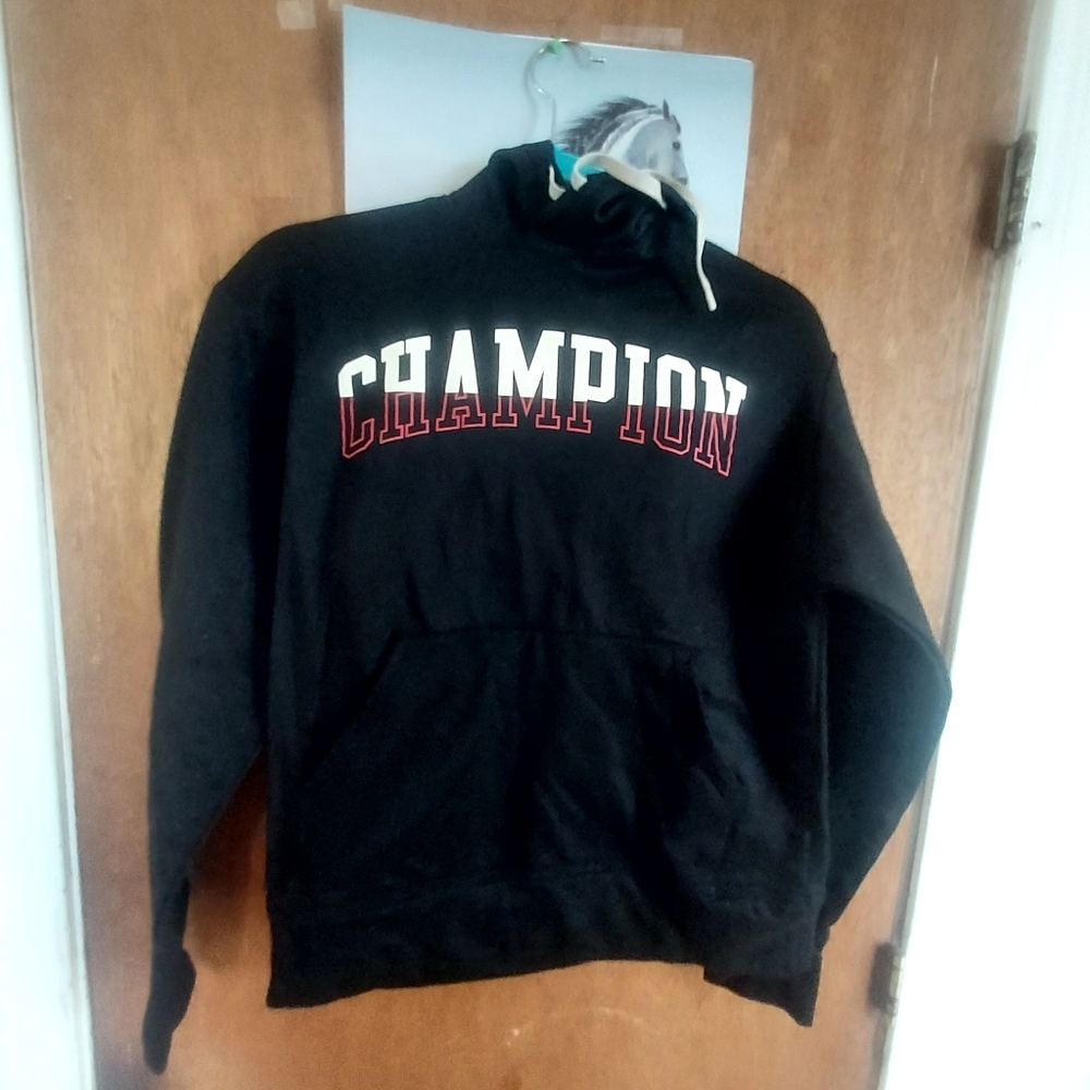 Champion sweat shirt